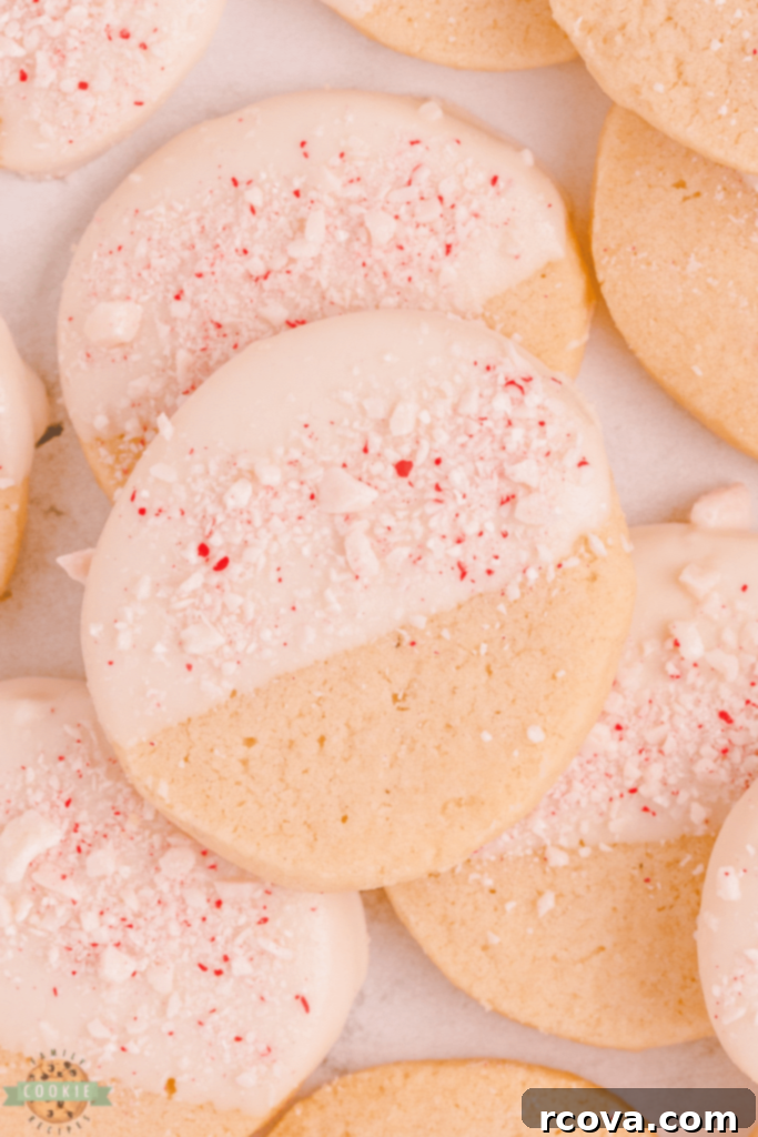 Holiday Cookie Magic: Recipes for Festive Cheer 13 Peppermint Shortbread Cookies decorated with white chocolate and candy canes