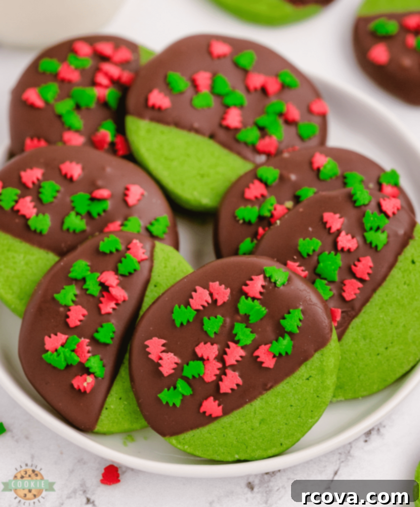 Holiday Cookie Magic: Recipes for Festive Cheer 15 Mint Christmas Cookies with holiday sprinkles