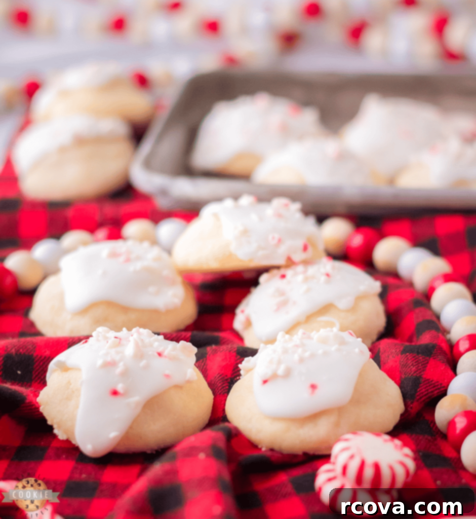 Holiday Cookie Magic: Recipes for Festive Cheer 20 Peppermint Meltaways dusted with crushed peppermint