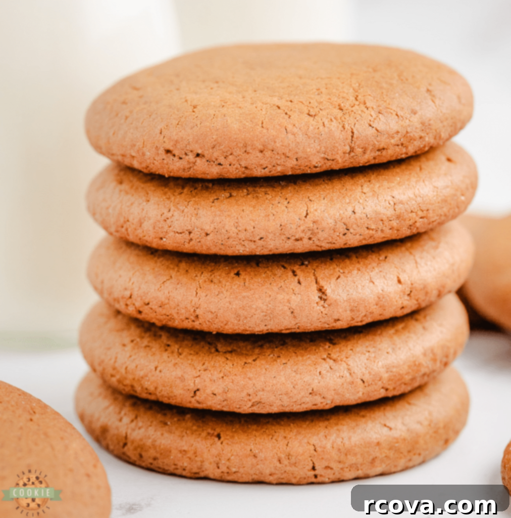 Holiday Cookie Magic: Recipes for Festive Cheer 22 Chewy Molasses Cookies dusted with sugar