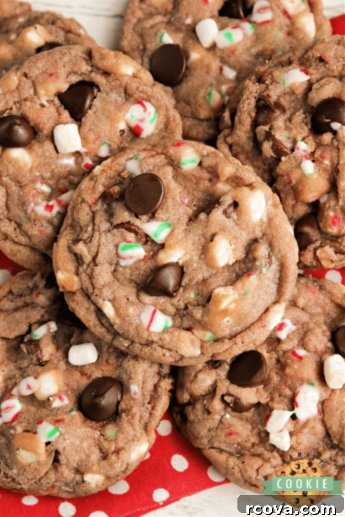 Holiday Cookie Magic: Recipes for Festive Cheer 24 Hot Cocoa Cookies with chocolate chips and marshmallows
