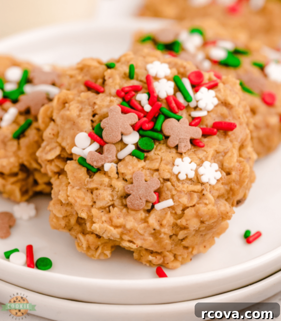 Holiday Cookie Magic: Recipes for Festive Cheer 7 Delicious No Bake Gingerbread Cookies