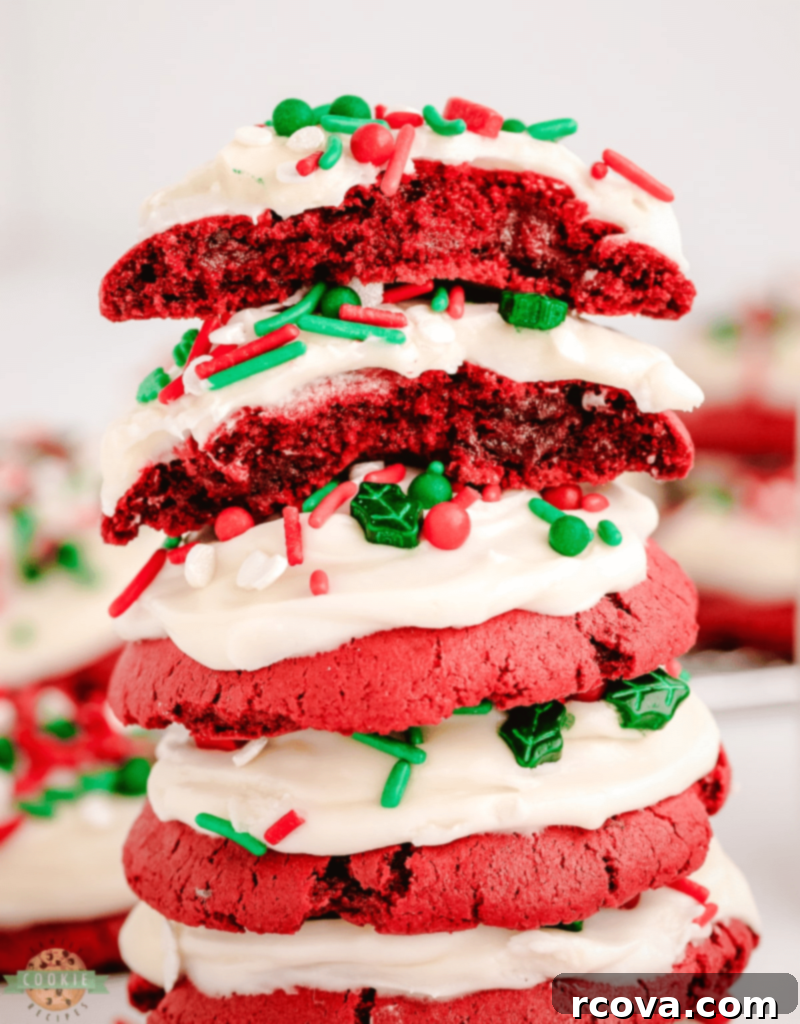 Holiday Cookie Magic: Recipes for Festive Cheer 9 Festive Red Velvet Christmas Cookies