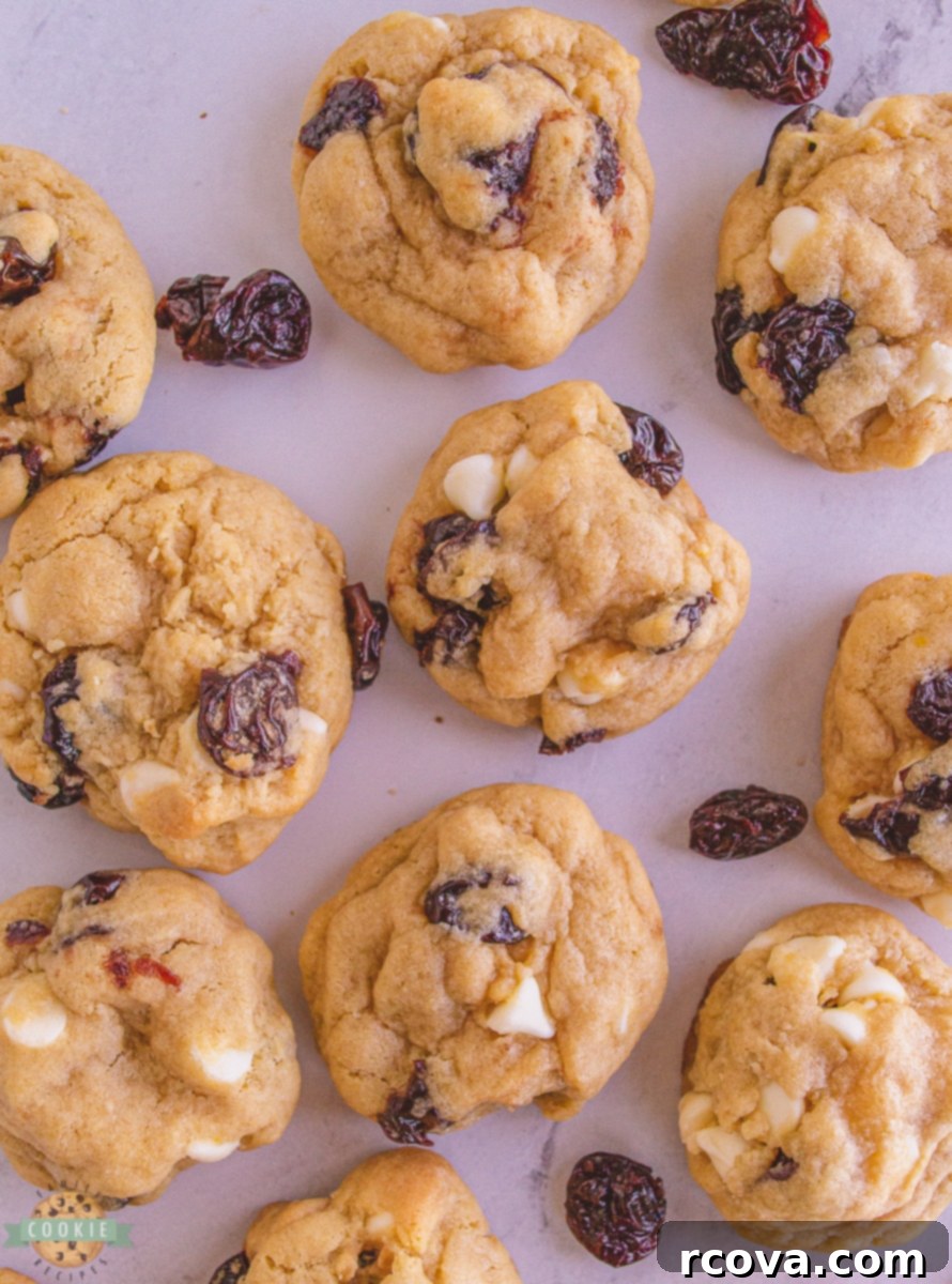 Velvet White Chocolate Cherry Cookies 3 white chocolate chip cookies with dried cherries