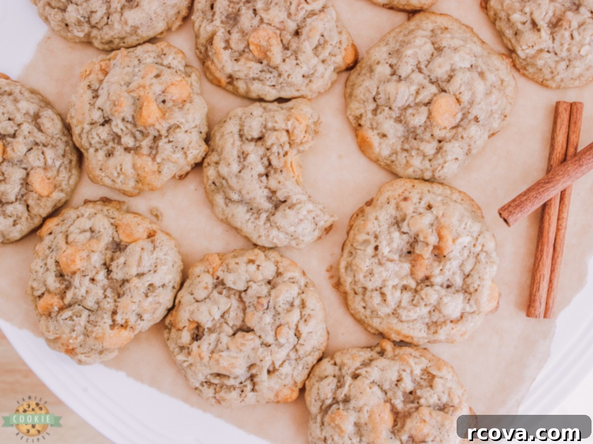 Golden Butterscotch Oatmeal Cookies 5 Unbaked oatmeal scotchies dough balls on parchment paper ready for baking