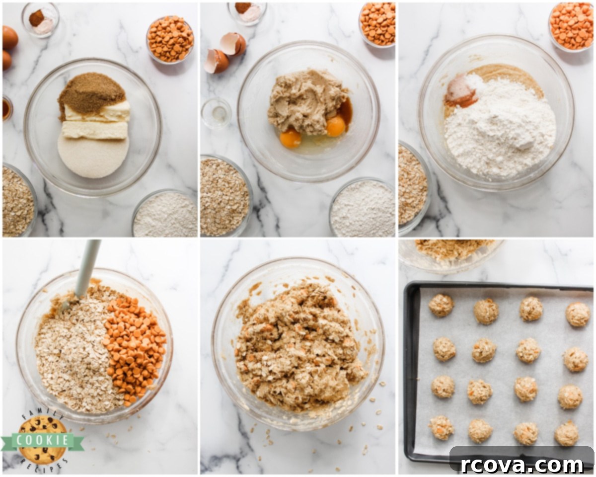Golden Butterscotch Oatmeal Cookies 6 Ingredients and steps for making oatmeal butterscotch cookies laid out on a kitchen counter