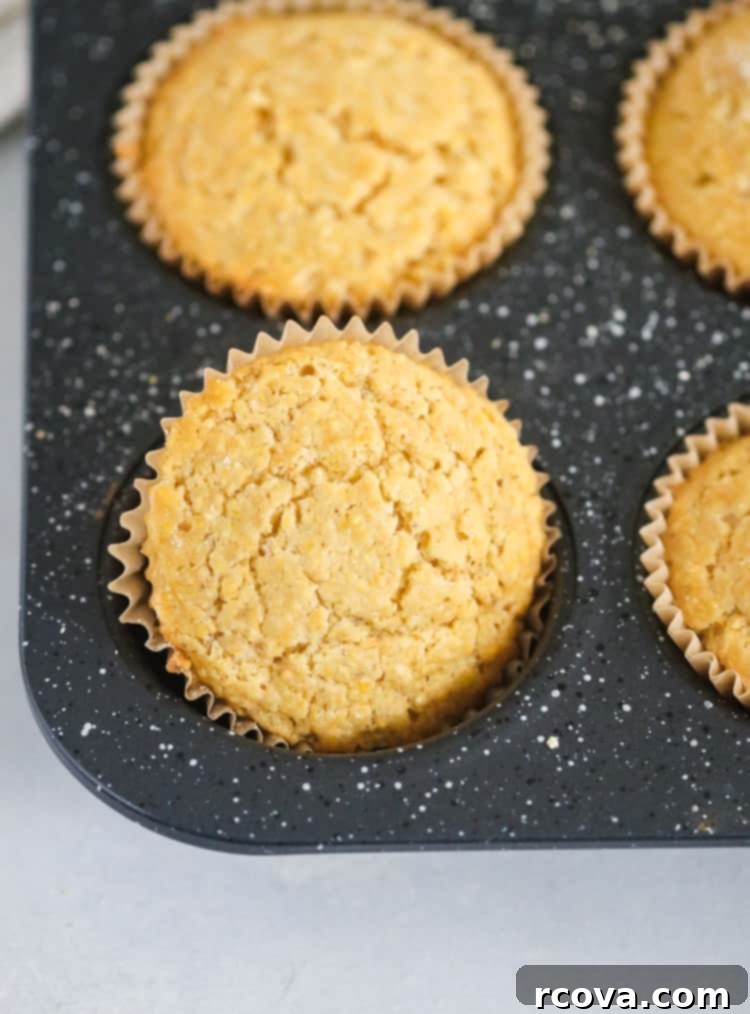 Wholesome Einkorn Cornbread Muffins 7 einkorn cornbread muffins
