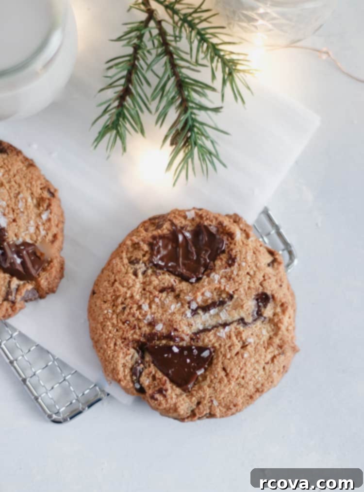 Paleo Gluten Free Almond Flour Chocolate Chunk Cookies 3 close-up of almond flour chocolate chunk cookies