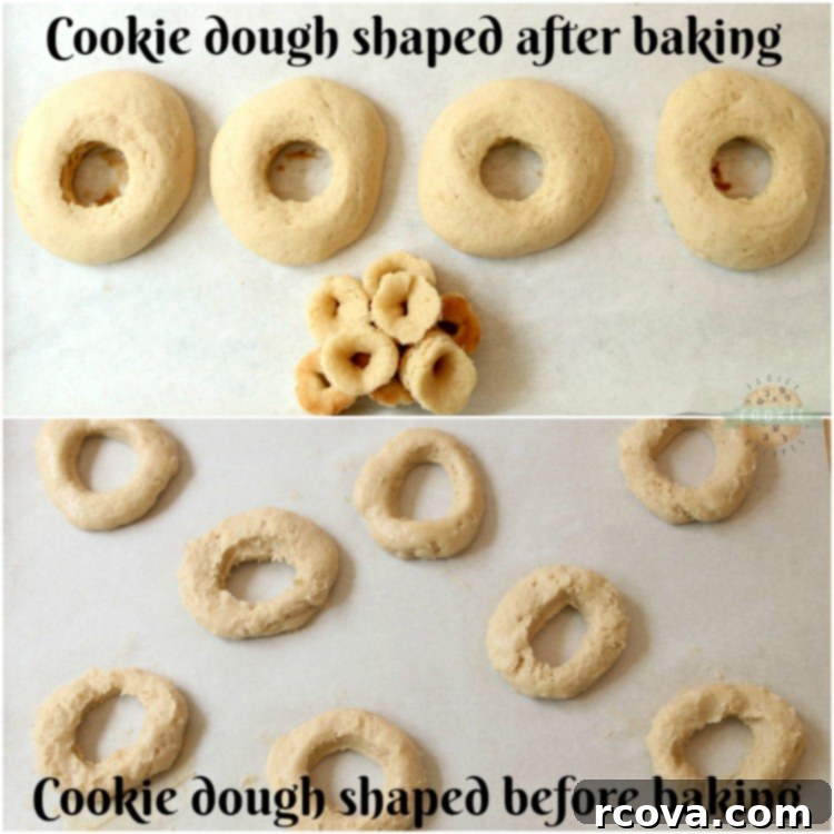 Glossy Donut Cookies 6 Glazed Donut Cookies are soft & pillowy donut-shaped cookies with a lovely chocolate or vanilla glaze & topped with sprinkles! Everything you love about donuts, only in cookie form!