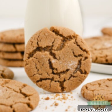 Cozy Ginger-Spiced Cookies 6 Soft Gingerbread Cookies