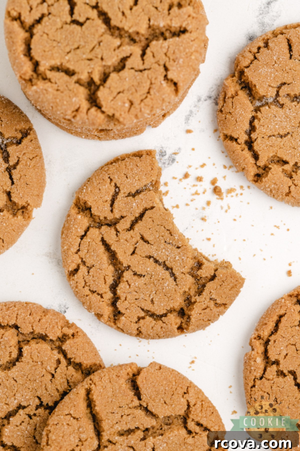 Cozy Ginger-Spiced Cookies 9 A plate featuring a half-eaten Soft Gingerbread Cookie, showcasing its wonderfully soft interior and perfectly baked, chewy texture.