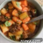 Effortless Instant Pot Beef Stew MeltInYourMouth Tender 7 img 12286 6