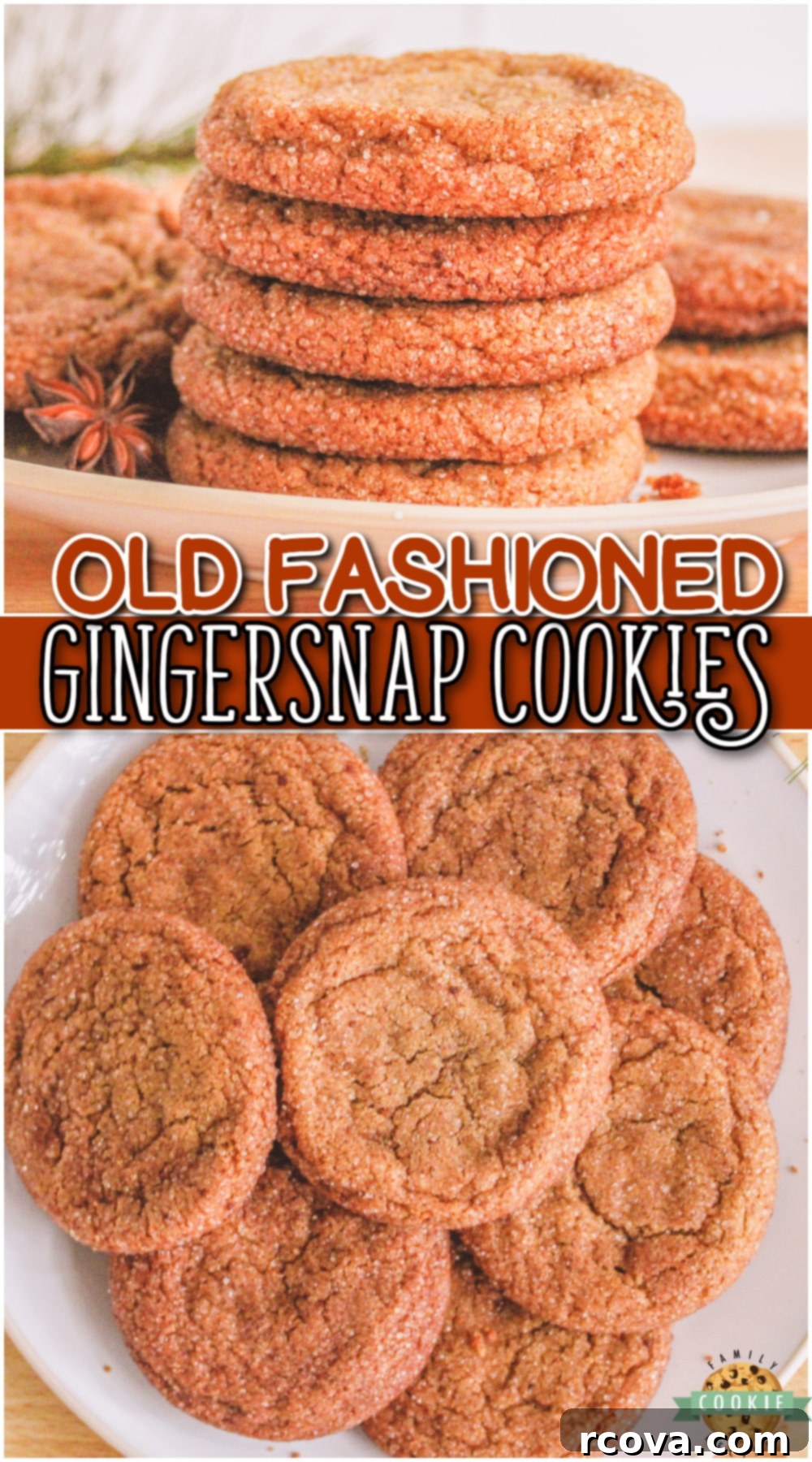 Warm Spiced Ginger Cookies 15 Gingersnap Cookies are a crisp, spicy & iconic holiday favorite! Make some gingersnap cookies at home and enjoy this classic recipe.