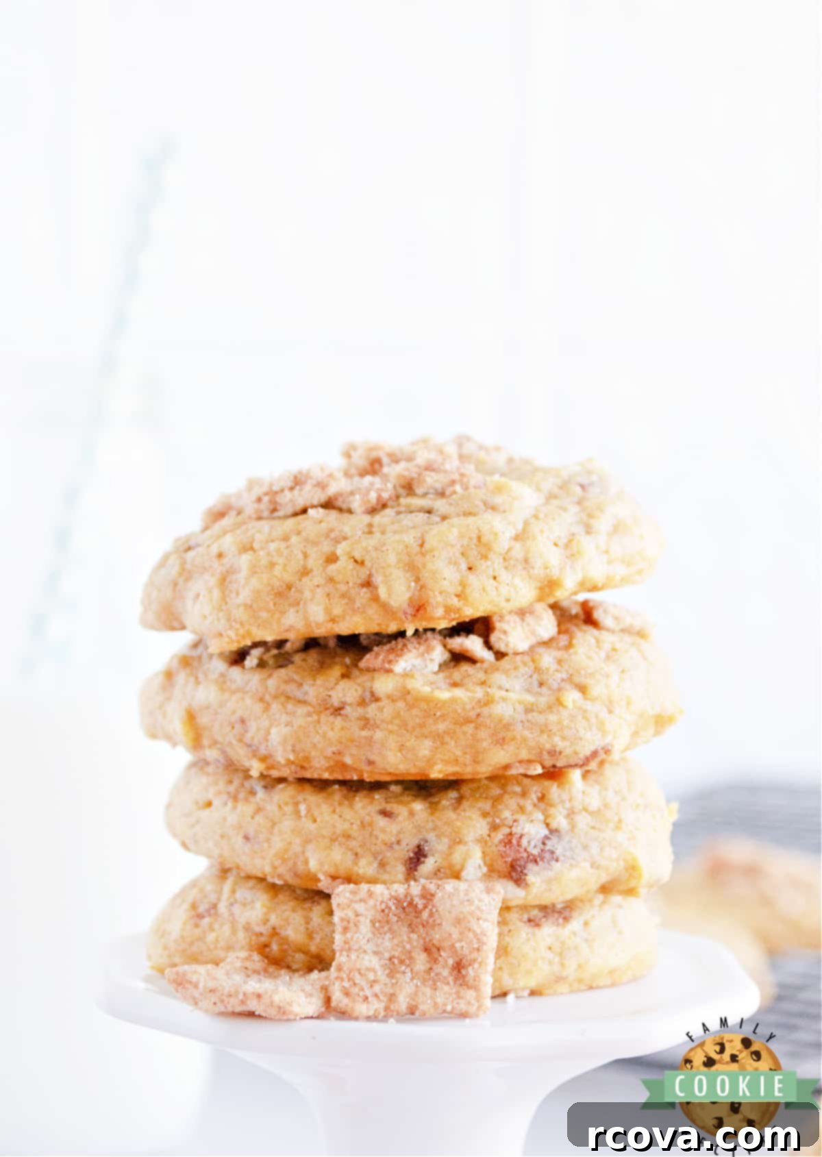 CTC Pumpkin Spice Cookies 8 A close-up of a single Cinnamon Toast Crunch Pumpkin Cookie with visible cereal pieces on top.