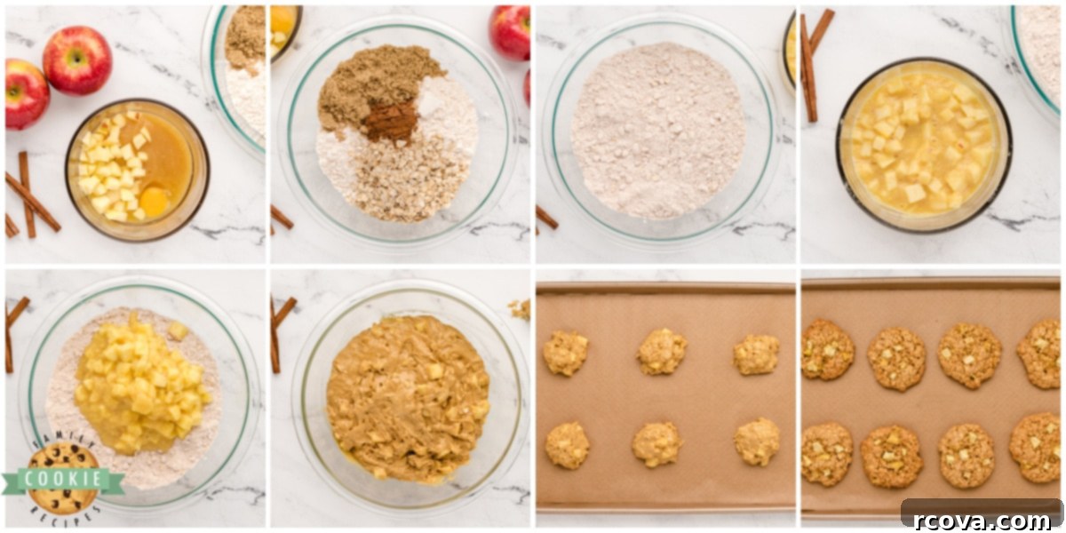Cozy Apple Cinnamon Oat Cookies 5 Step by step instructions on how to make Apple Cinnamon Oatmeal Cookies