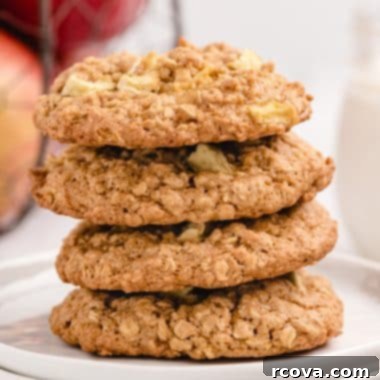 Cozy Apple Cinnamon Oat Cookies 7 Apple Cinnamon Oatmeal Cookies