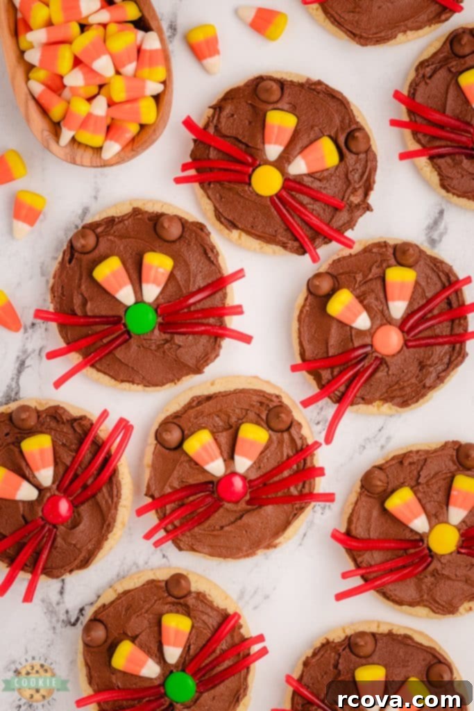 Black Cat Halloween Cookies 4 cute cat cookies