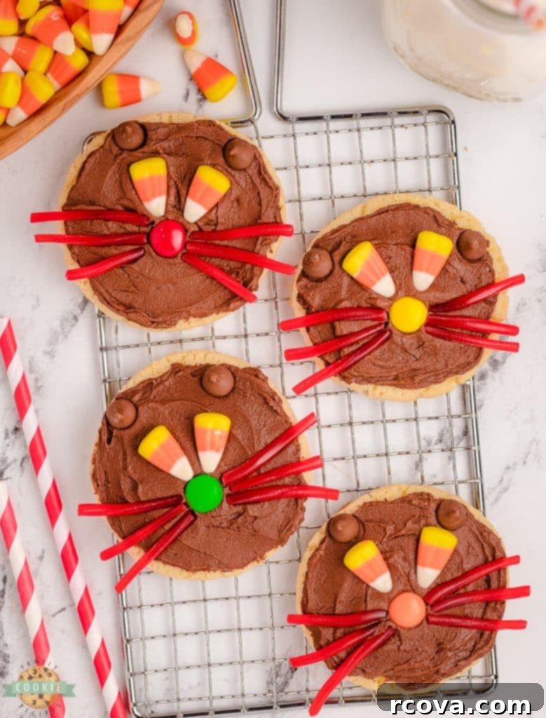 Black Cat Halloween Cookies 8 Halloween Scaredy cat cookies on a cooling rack