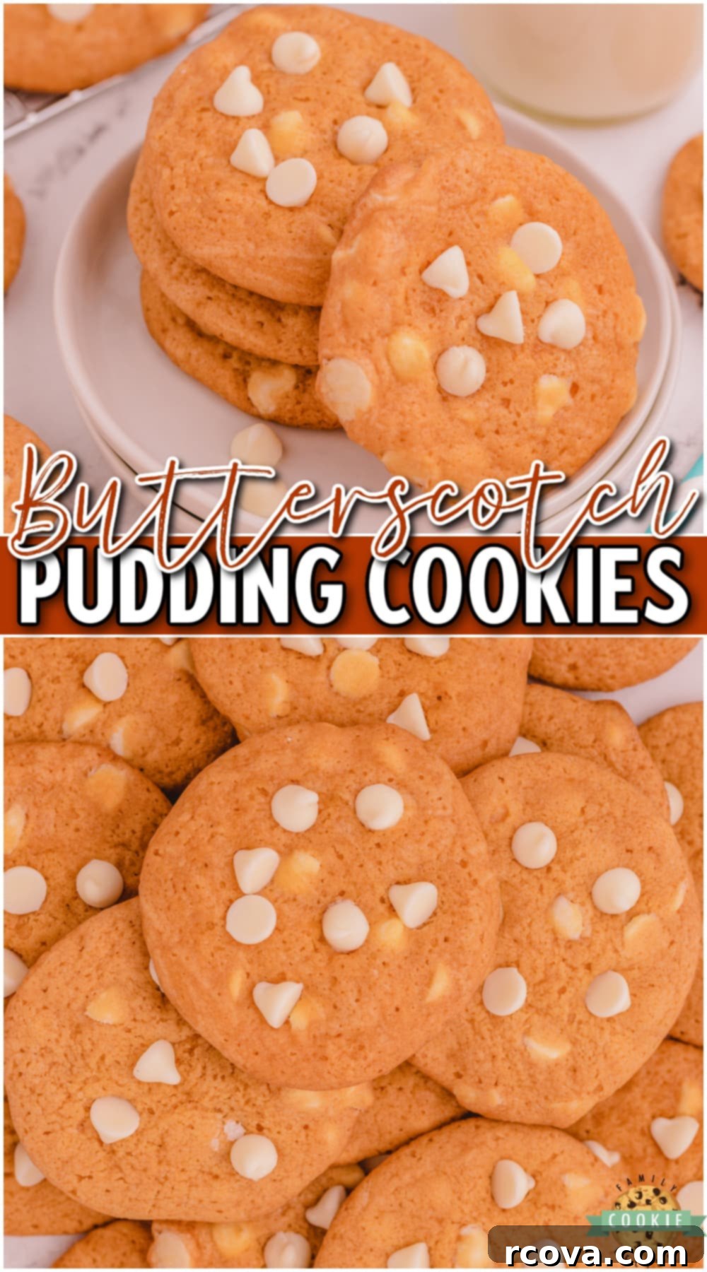 Heavenly Butterscotch Pudding Cookies 14 Butterscotch Pudding Cookies are a delightful cookie with great butterscotch flavor! This butterscotch cookie recipe is so simple to make & the pudding gives them the best texture & taste.