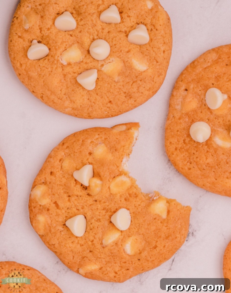 Heavenly Butterscotch Pudding Cookies 8 pudding cookie with a bite taken out