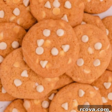 Heavenly Butterscotch Pudding Cookies 9 butterscotch pudding cookies