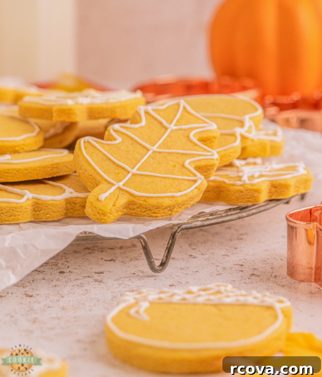 Sweet Autumn Cutout Sugar Cookies 4 Fall Leaf cookies