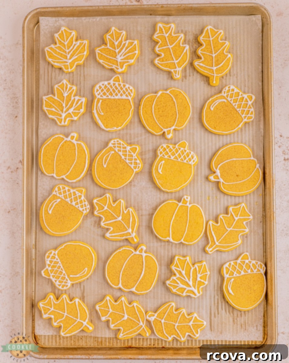 Sweet Autumn Cutout Sugar Cookies 7 Pumpkin cut out cookies on a baking tray