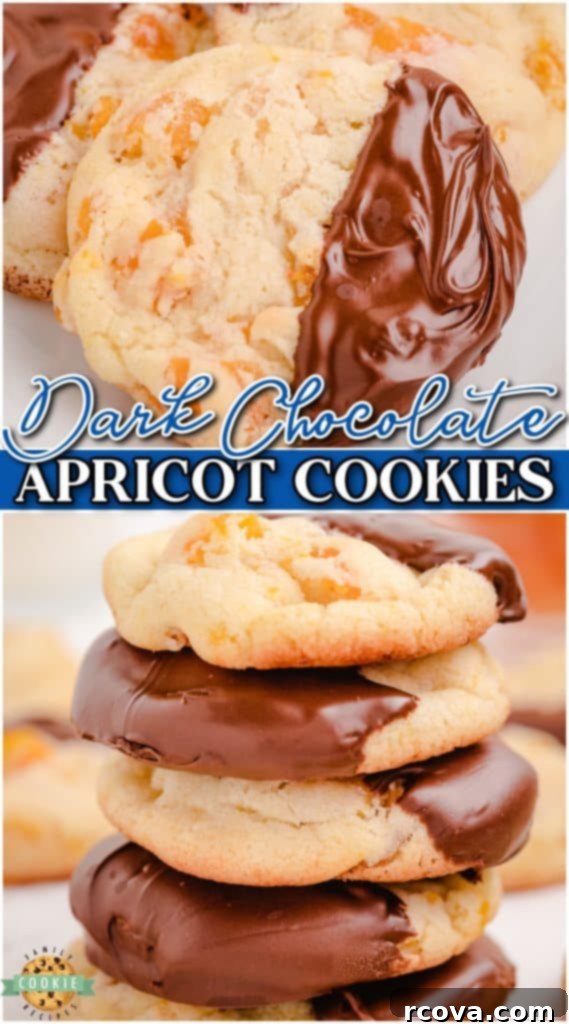 Golden Apricot Treats 13 Easy Apricot Cookies perfectly combine a sweet cookie base with tangy fruit flavor. These apricot sugar cookies are dipped in dark chocolate & are simply delightful!
