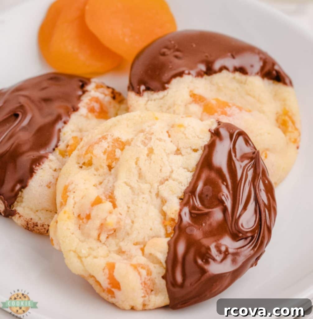 Golden Apricot Treats 4 easy apricot cookies with chocolate