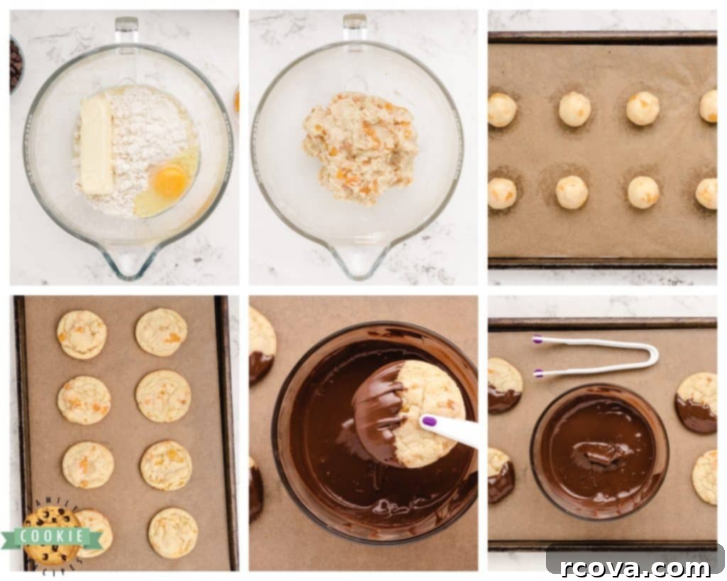 Golden Apricot Treats 5 how to make easy apricot cookies