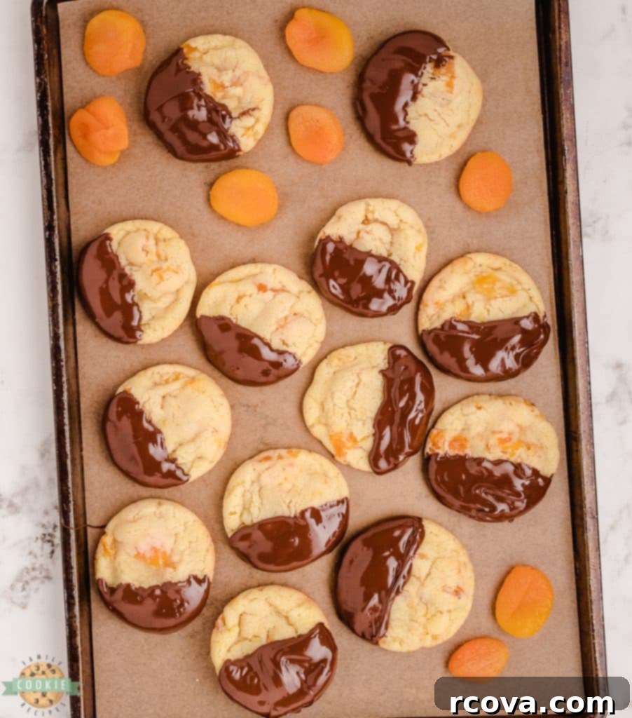 Golden Apricot Treats 6 tray of apricot cookies dipped in chocolate