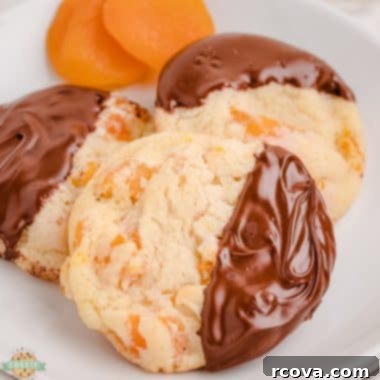 Golden Apricot Treats 8 easy apricot cookies with chocolate