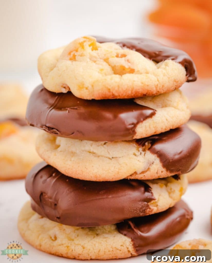 Golden Apricot Treats 9 stacked apricot cookies