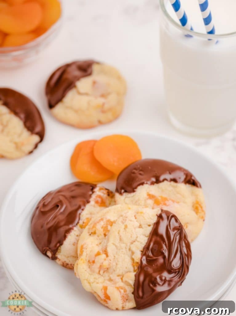 Golden Apricot Treats 10 simple apricot cookies