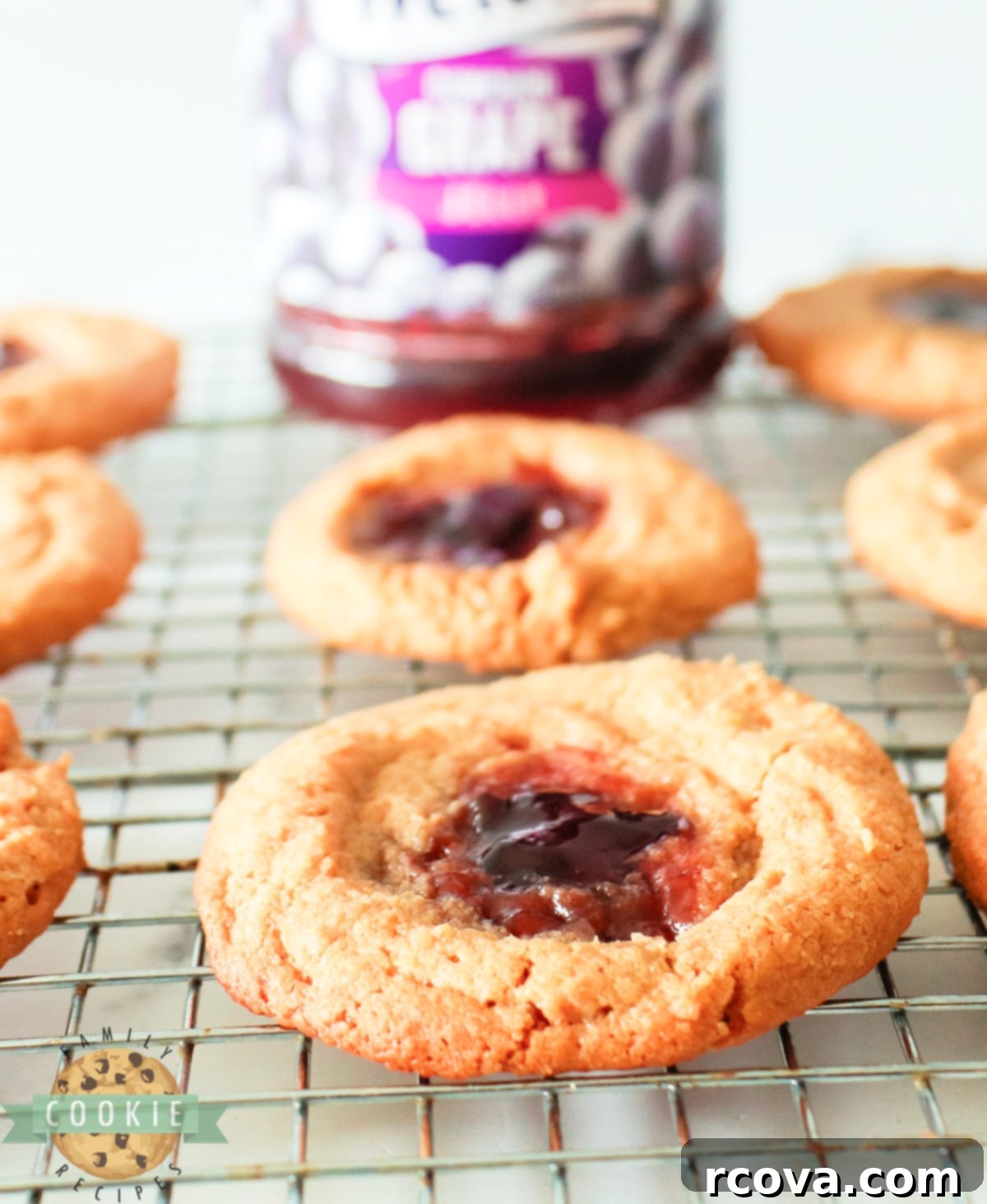 Peanut Butter Jelly Cookie Dreams 10 A close-up of a single Peanut Butter and Jelly cookie with grape jelly filling, showcasing its soft texture and inviting appearance.