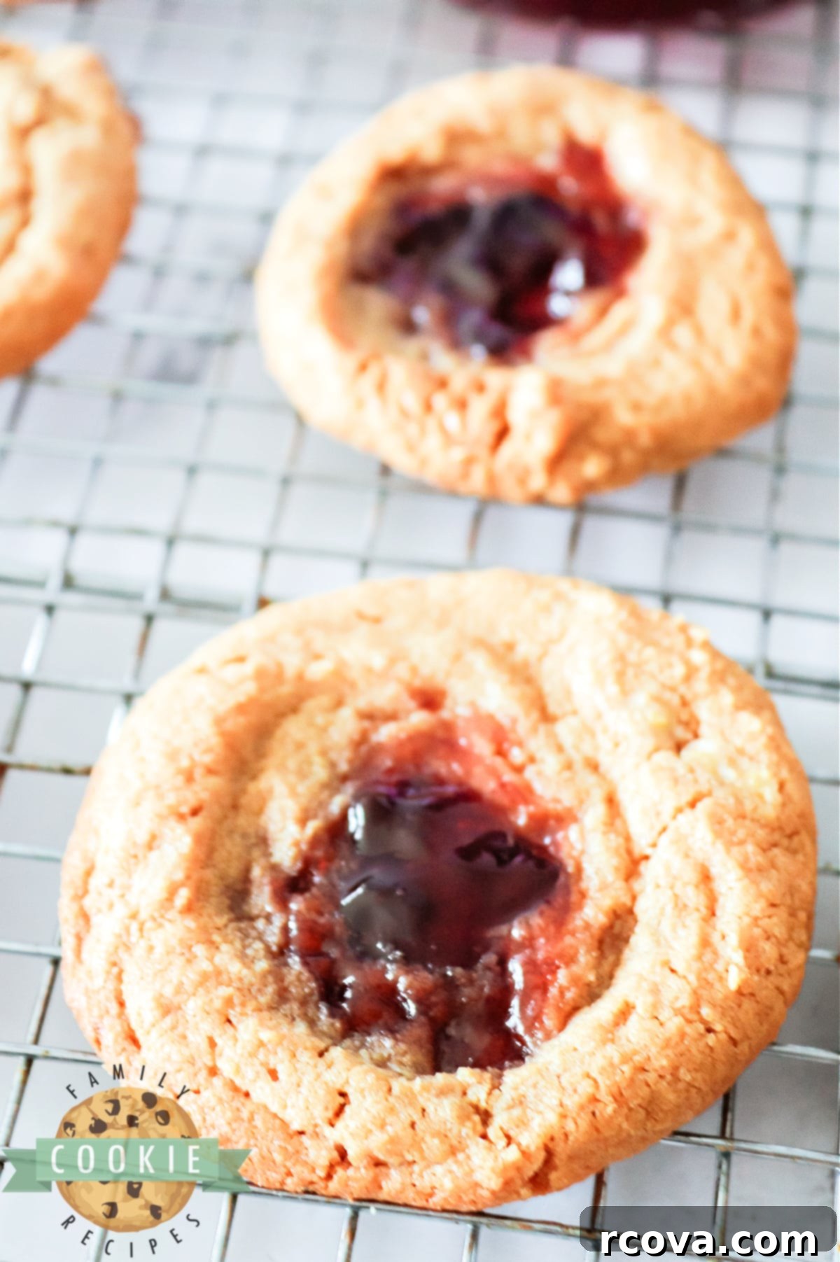 Peanut Butter Jelly Cookie Dreams 11 A plate of freshly baked Peanut Butter and Jelly cookies, each with a vibrant jelly center, perfect for a sweet treat.