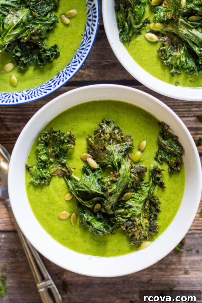 Emerald Vegan Broccoli Velouté 5 Green Goddess Vegan Broccoli Soup with Kale Chips