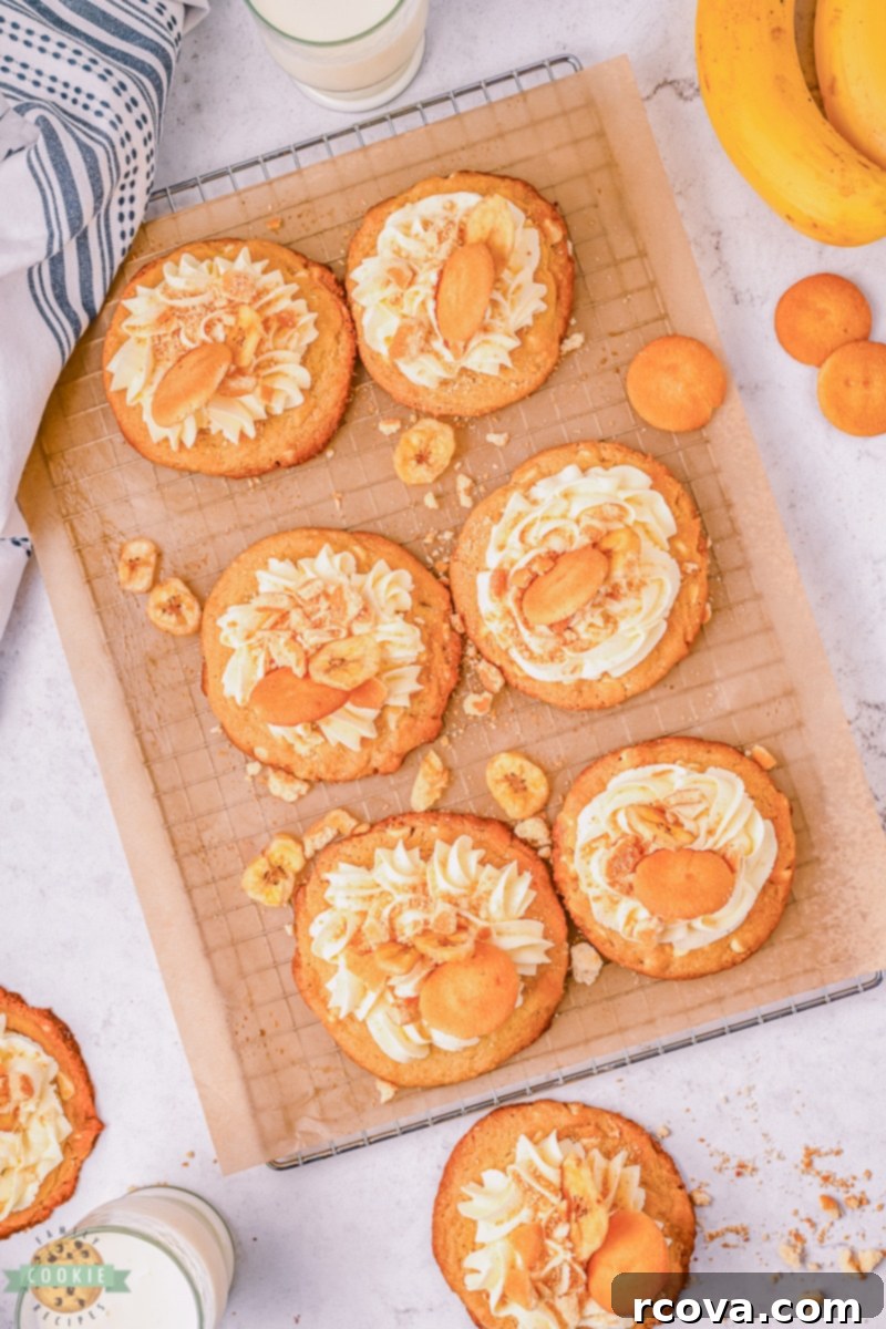 Luscious Banana Cream Cookies 6 gourmet banana cream cookies