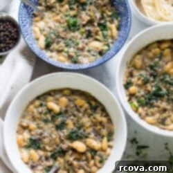 Velvet Portobello Perfection 9 Creamy Portobello Mushroom Soup