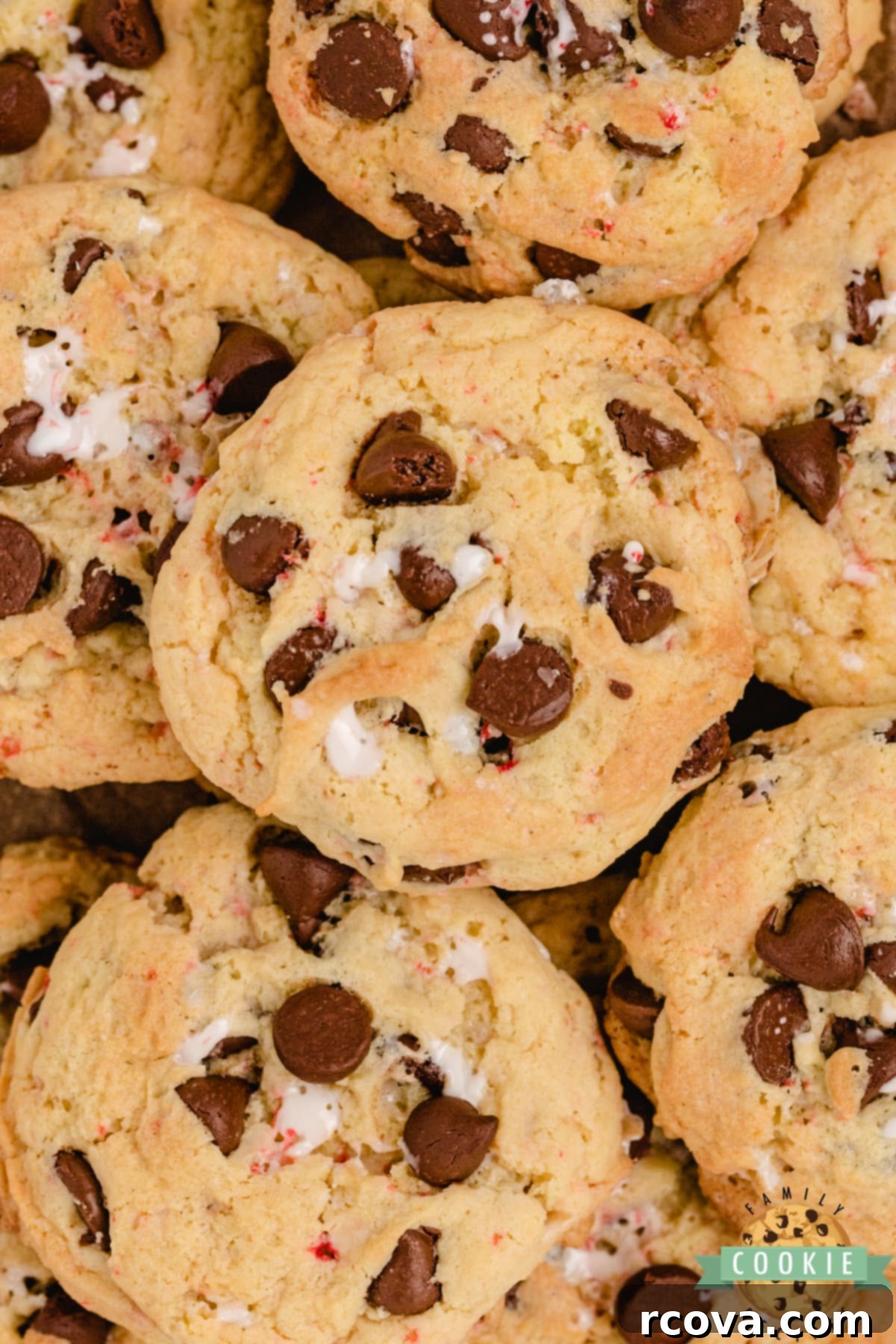 Minty Chocolate Chip Cookie Bliss 2 Peppermint Chocolate Chip Cookies made with vanilla pudding mix, crushed candy canes and peppermint extract. Soft and chewy cookies that are perfect for the holidays!