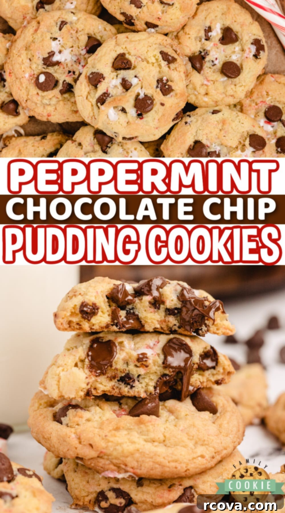 Minty Chocolate Chip Cookie Bliss 11 Peppermint Chocolate Chip Cookies made with vanilla pudding mix, crushed candy canes and peppermint extract. Soft and chewy cookies that are perfect for the holidays!