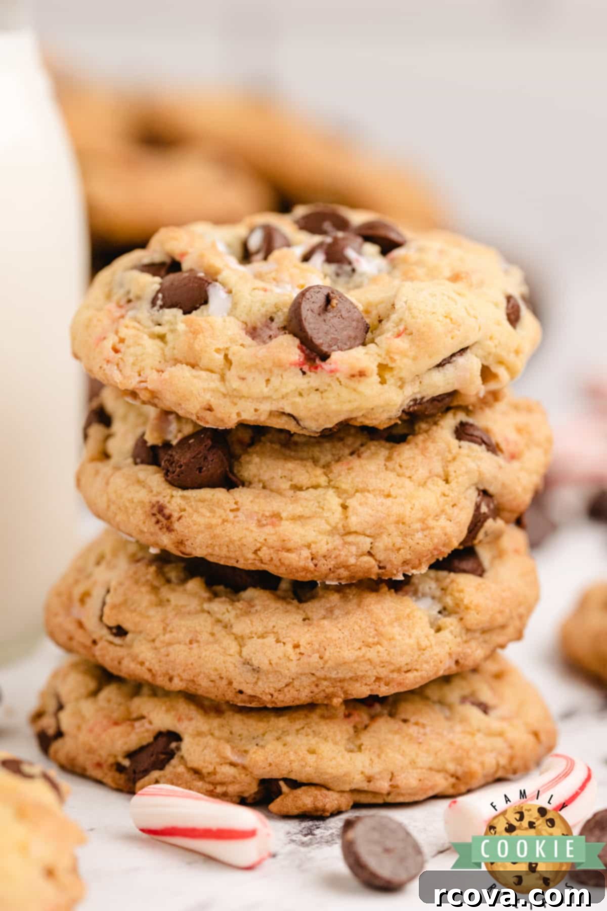 Minty Chocolate Chip Cookie Bliss 4 Cookies with chocolate chips and crushed candy canes