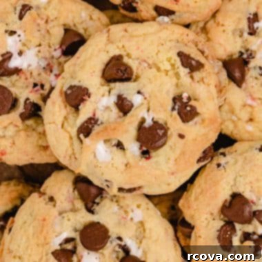 Minty Chocolate Chip Cookie Bliss 8 img 13479 7