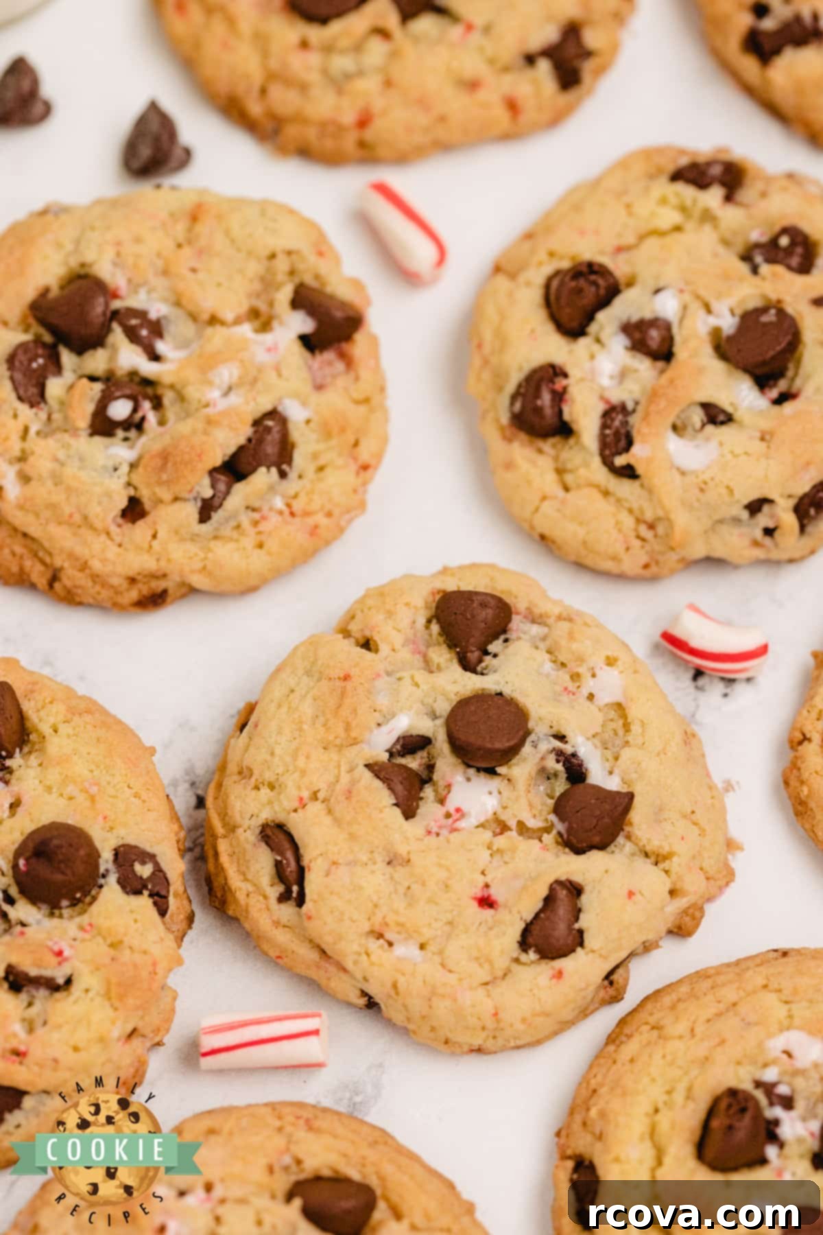 Minty Chocolate Chip Cookie Bliss 9 Cookies with crushed candy canes and chocolate chips