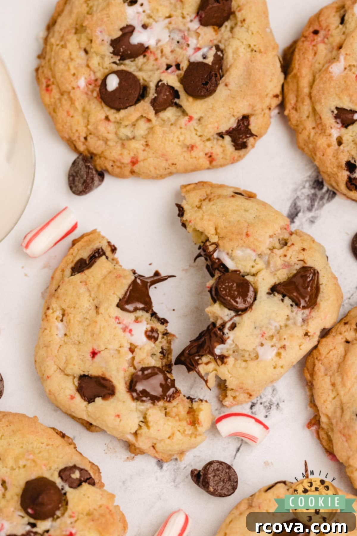 Minty Chocolate Chip Cookie Bliss 10 Cookies with chocolate chips and crushed candy canes