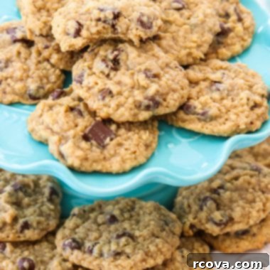 Chewy Chocolate Oatmeal Delights 11 Chocolate Chip Oatmeal Cookies made with classic ingredients for the perfect soft & chewy oatmeal cookie! Amazing homemade cookie recipe you have to try!