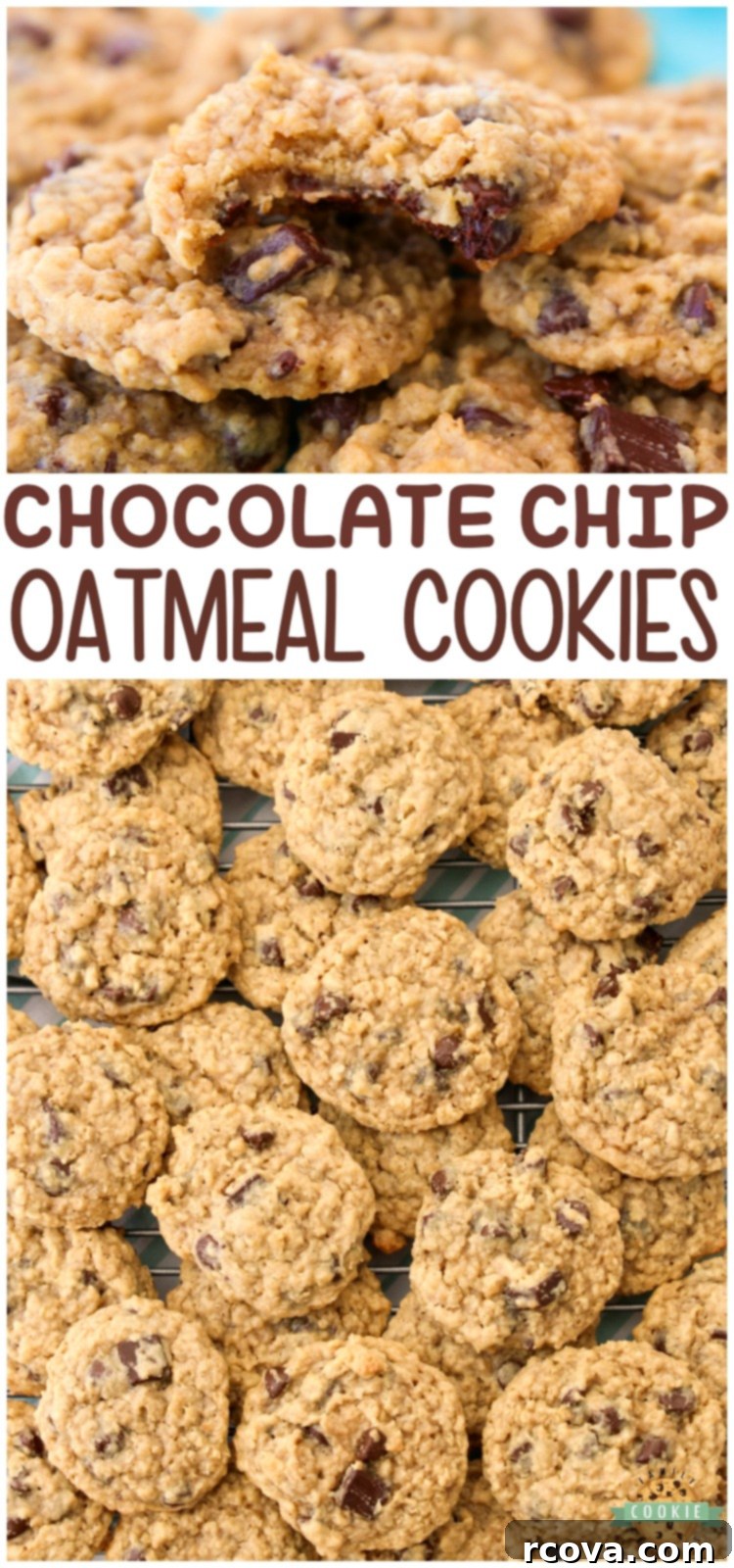 Chewy Chocolate Oatmeal Delights 13 A Pinterest-friendly image showcasing Chocolate Chip Oatmeal Cookies with text overlay for sharing.