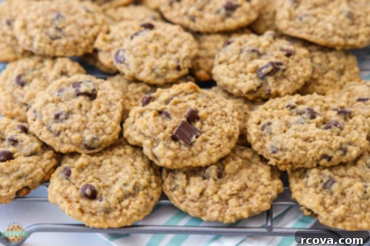 Chewy Chocolate Oatmeal Delights 6 Freshly baked Chocolate Chip Oatmeal Cookies cooling on a wire rack.