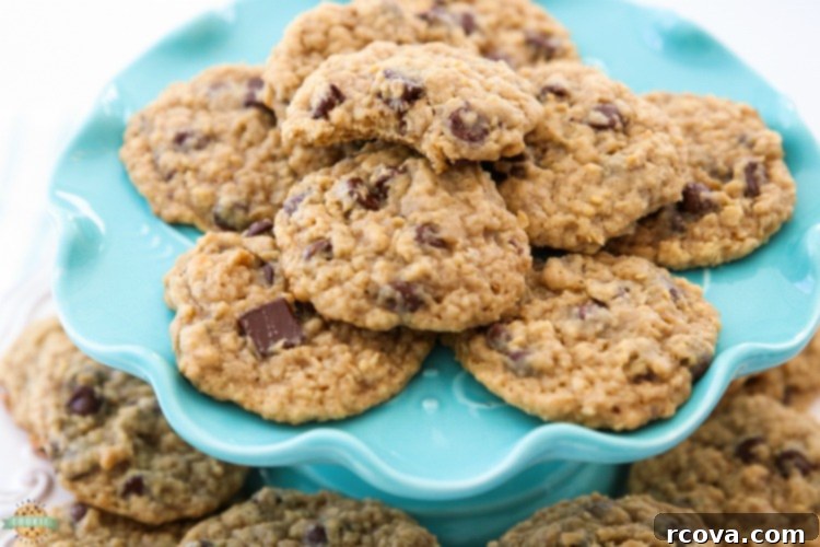 Chewy Chocolate Oatmeal Delights 8 Close-up of baked Chocolate Chip Oatmeal Cookies, showcasing their texture.