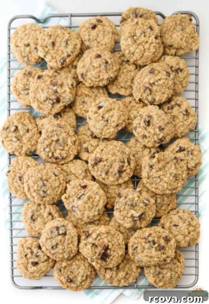 Chewy Chocolate Oatmeal Delights 9 A stack of warm, freshly baked Chocolate Chip Oatmeal Cookies, ready to be eaten.
